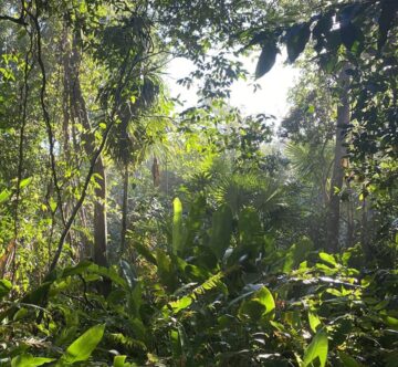 01934252 F486 457D 8A96 CA11FD71692D