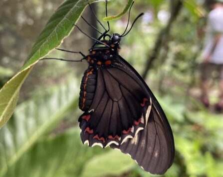 0EAFE23E 4A93 4B86 B2D8 54BF92D5E62B