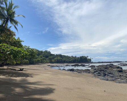 163083F3 3856 42C3 AF9B CB4785FE765F