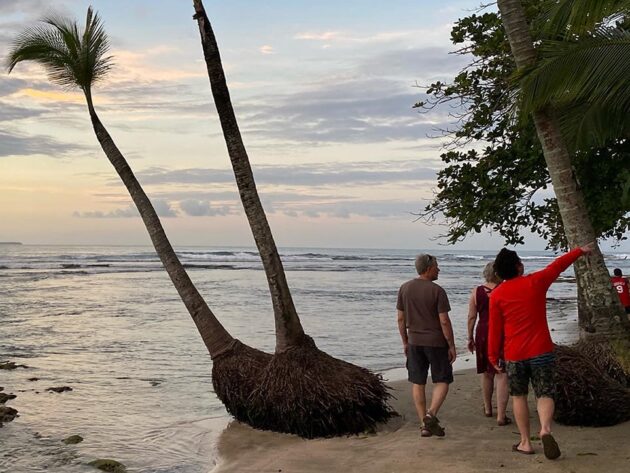 2669A963 4162 465A 92A7 026B4ADBD867