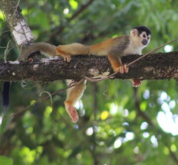 31472E49 FE8D 441A 945E 6BC74950AEA4 1