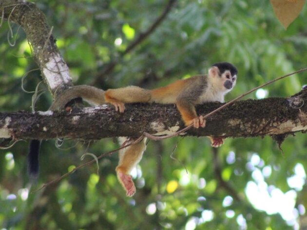 31472E49 FE8D 441A 945E 6BC74950AEA4 1