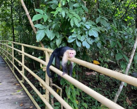 36F94BFD 5252 4079 A738 7FAEB909E41E