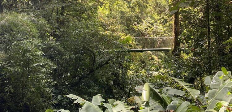 3F4510E2 77B5 46C0 920A 75B30D1AB1CB