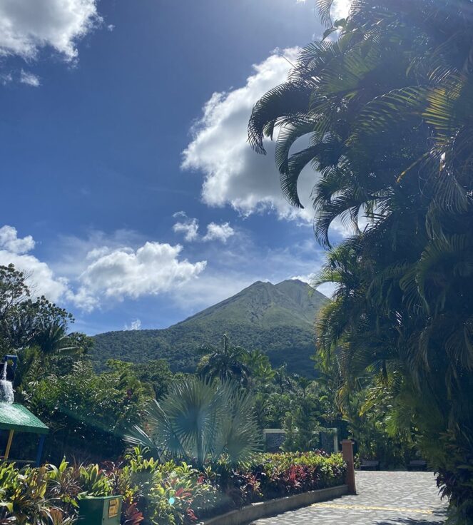 50C39C92 B83C 49AC A2F2 50000A3F5C0E