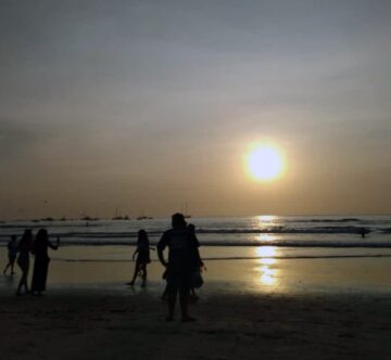 5E2F5329 008D 4928 B3E2 B6E6C57222DC