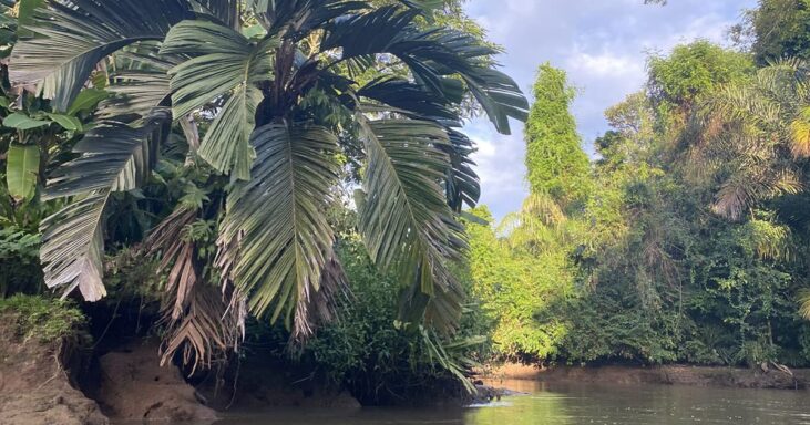 71426633 6637 4425 B316 31E4A030F7F4