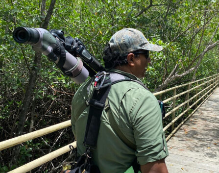 8831081B 2F38 4794 B994 123873A19B66