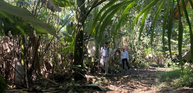 8B87B95E F4DF 4A84 BEB1 FFE14E04DA12