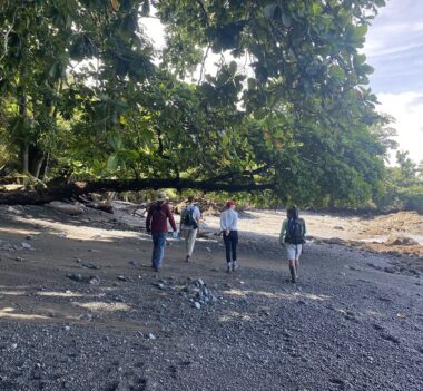 8CF34B95 4CBE 4166 A7E3 7C78B9E19E5D