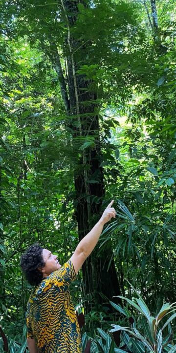 A9AD7167 0455 47EE 8DE4 4FDB31C2A966