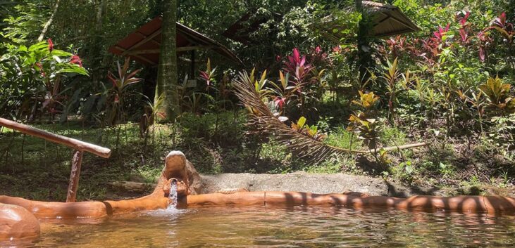 C9CE6083 4519 44DE AD3D 9A92D23E7532