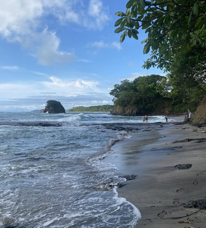 D074D654 D3B0 4612 B622 F145A8A36767