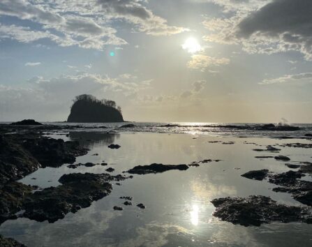 DA3C7A05 0E7D 45E4 8FB3 4A5AC9C806C9