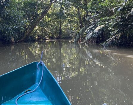 DB0F8664 88E7 45C8 A1B3 9F1A21BA8C06