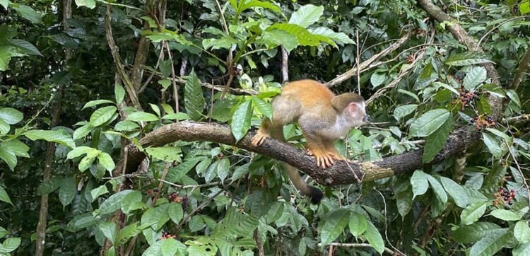 E1D7DA40 3A57 4748 A860 2CDC2EF5923C