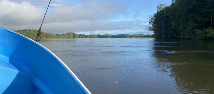 E3A88988 85C4 449C A8DE 2