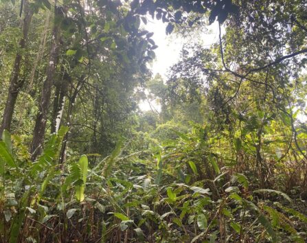 FEC6B570 B3FA 46A2 896B 942AE6719413