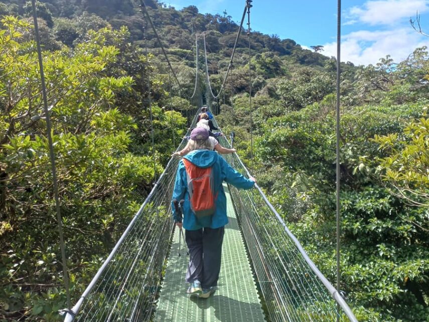 cfb0c92e 27ea 4e12 a865 a708518bb6db 1