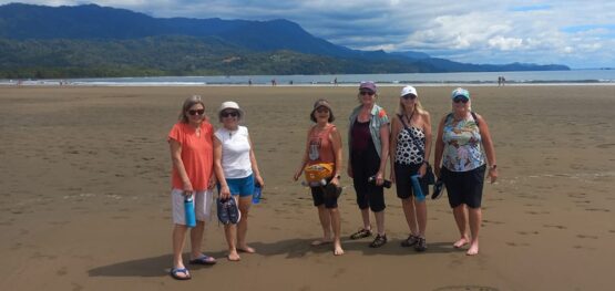 e24ba5c4 273d 41e7 bbb9 681c5cb88e9a 1