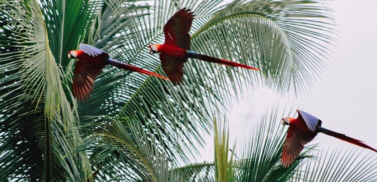 unsplash image qucJxsE33qs